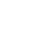 cropped-LYNX-Logo-WHITE.png